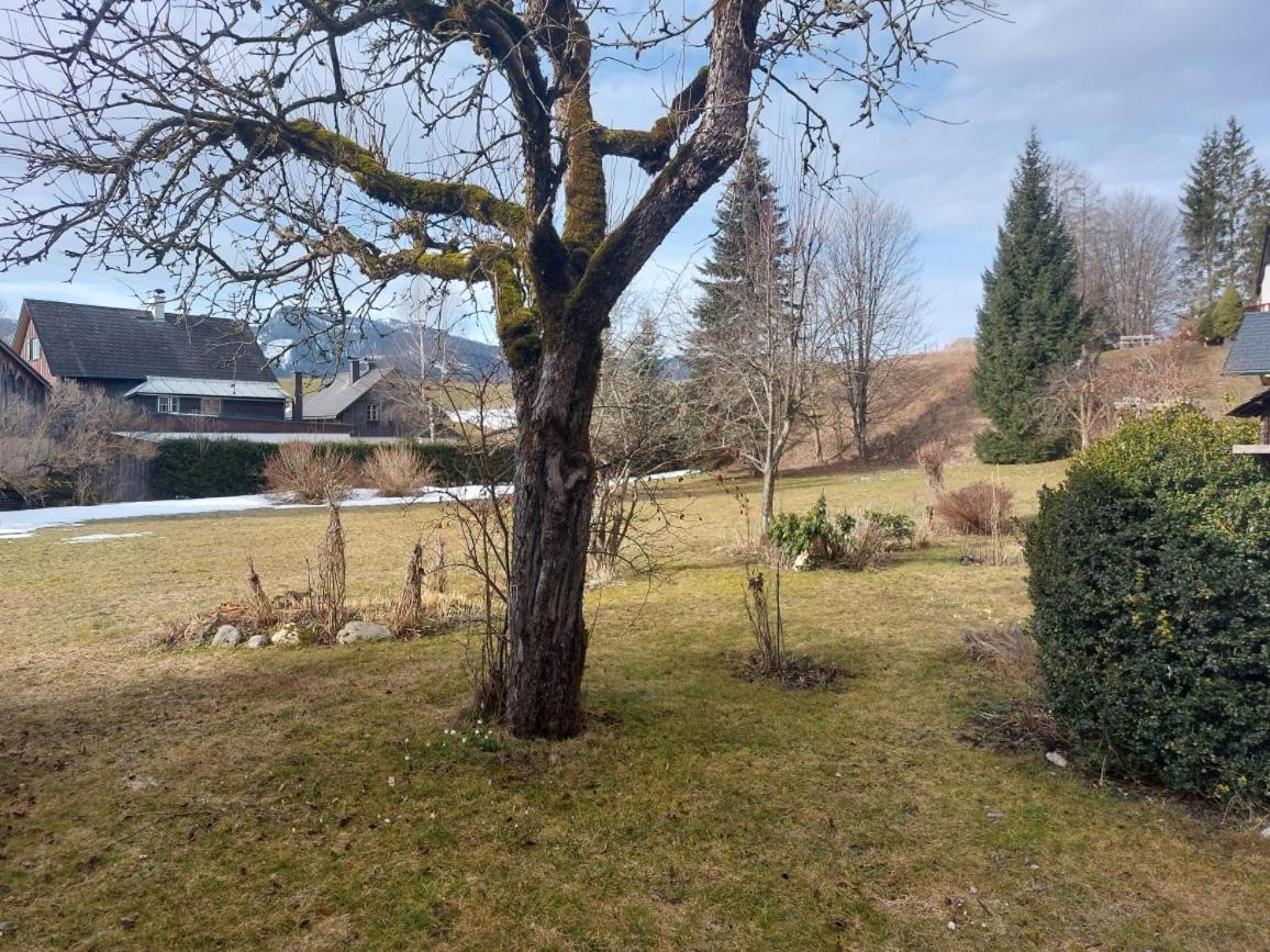 Ferienwohnung Salzafeld Bad Mitterndorf Esterno foto